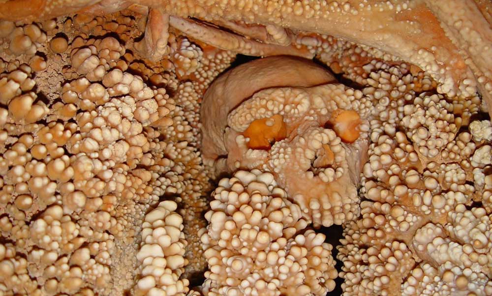 uomo-preistorico-di-altamura uomo-preistorico-di-altamura