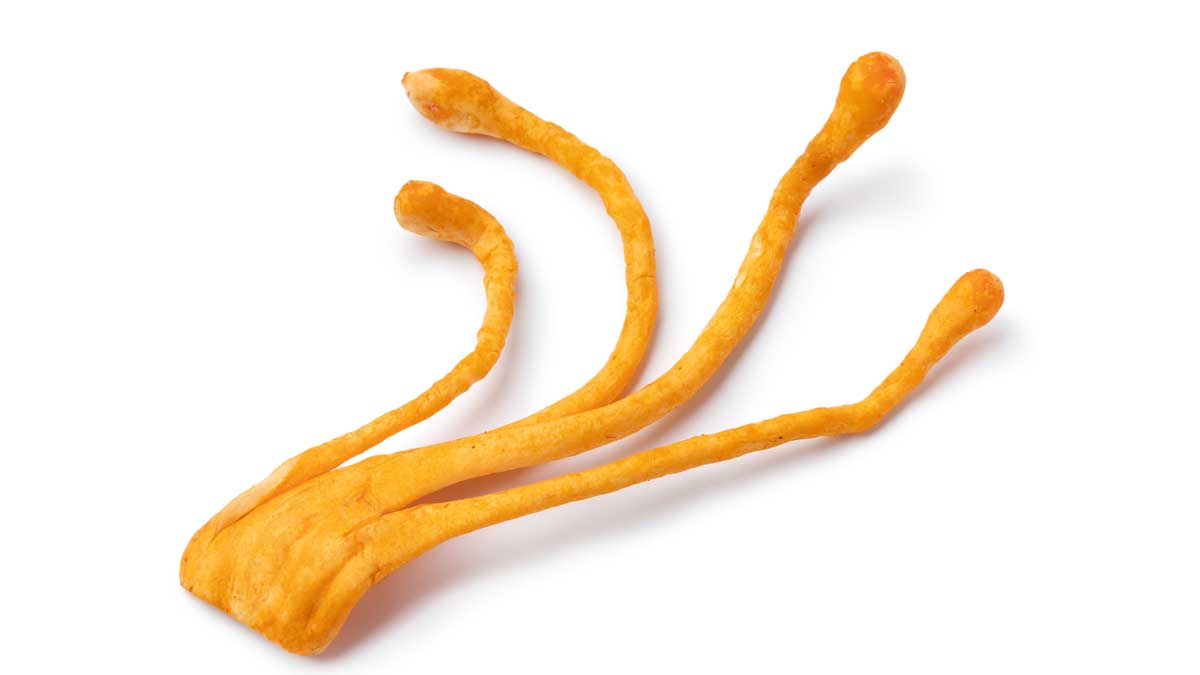 integratori-di-cordyceps integratori-di-cordyceps